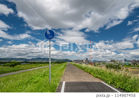 淀川河川公園出口野草地区 堤防上からの眺め 枚方市 淀川河川公園出口野草地区 堤防上からの眺め 枚方市 114987458