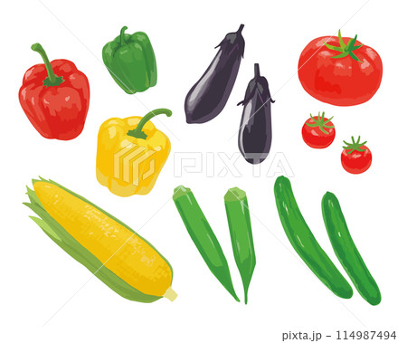 夏野菜のイラスト 夏野菜のイラスト 114987494