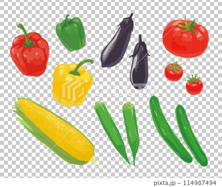 夏野菜のイラスト 夏野菜のイラスト 114987494