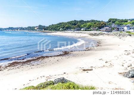 茨城県日立市　川尻の河岸 114988161