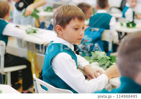 cute little boy sittimg at the class in school. first september. knowledge day 114988495