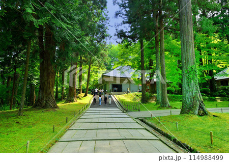 中尊寺　金色堂（岩手県平泉町） 114988499