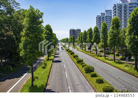 つくば市を走る学園西大通りの風景 つくば市を走る学園西大通りの風景 114988553