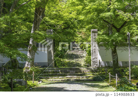 京都　葉室山淨住寺　本堂へと続く石段 114988633