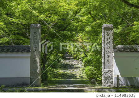 京都 葉室山淨住寺 本堂へと続く石段 京都 葉室山淨住寺 本堂へと続く石段 114988635