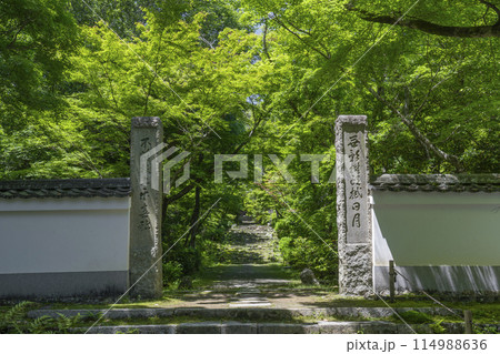 京都 葉室山淨住寺 本堂へと続く石段 京都 葉室山淨住寺 本堂へと続く石段 114988636