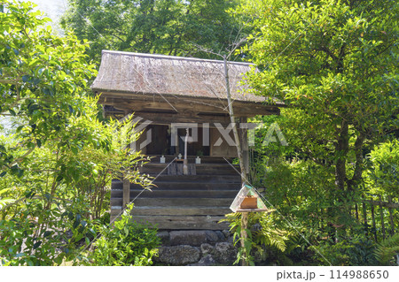 京都 葉室山淨住寺 新緑に包まれた祠 京都 葉室山淨住寺 新緑に包まれた祠 114988650