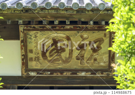 京都　葉室山淨住寺　新緑に包まれた本堂 114988675