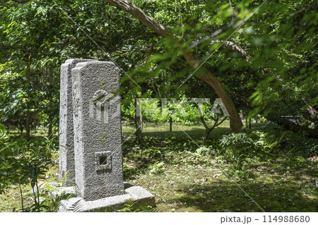 京都 葉室山淨住寺 参道 京都 葉室山淨住寺 参道 114988680
