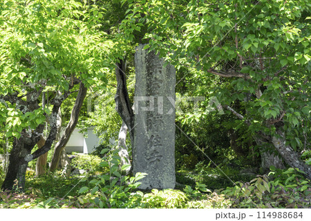 京都　葉室山淨住寺　寺標 114988684