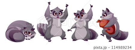 Cute racoon characters set 114989234