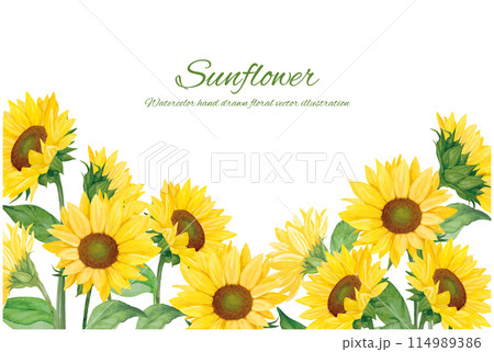 水彩で描いたひまわりの背景素材 水彩で描いたひまわりの背景素材 114989386