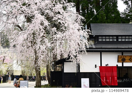 春の角館武家屋敷 春の角館武家屋敷 114989478