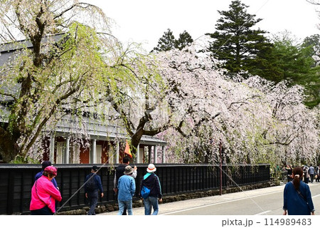 春の角館武家屋敷 春の角館武家屋敷 114989483