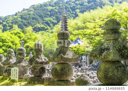 新緑の京都 あだし野念仏寺 西院の河原 新緑の京都 あだし野念仏寺 西院の河原 114989935