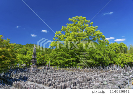 新緑の京都 あだし野念仏寺 西院の河原 新緑の京都 あだし野念仏寺 西院の河原 114989941