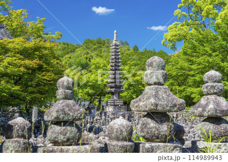 新緑の京都　あだし野念仏寺　西院の河原 114989943