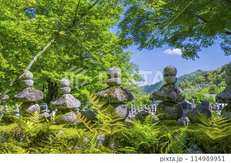 新緑の京都 あだし野念仏寺 西院の河原 新緑の京都 あだし野念仏寺 西院の河原 114989951