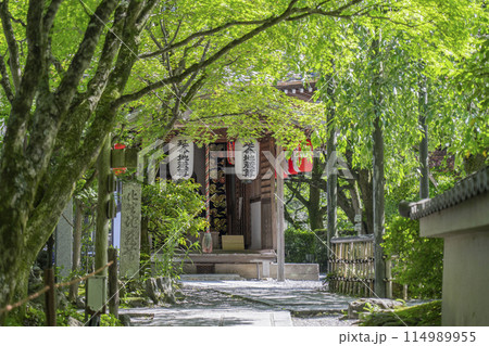 新緑の京都 あだし野念仏寺 延命地蔵堂 新緑の京都 あだし野念仏寺 延命地蔵堂 114989955