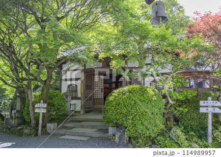 新緑の京都　あだし野念仏寺　本堂 114989957