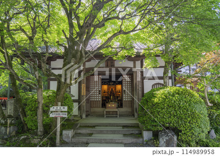 新緑の京都　あだし野念仏寺　本堂 114989958