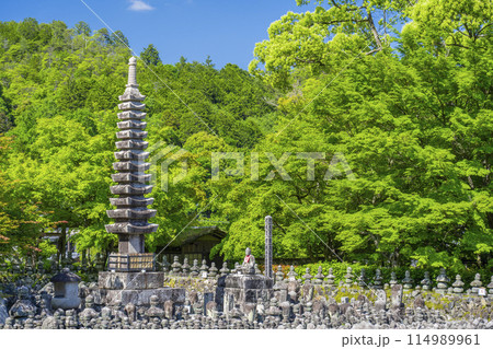 新緑の京都 あだし野念仏寺 西院の河原 新緑の京都 あだし野念仏寺 西院の河原 114989961