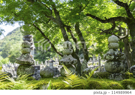 新緑の京都　あだし野念仏寺　西院の河原 114989964
