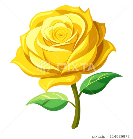 yellow rose isolated on white yellow rose isolated on white 114989972