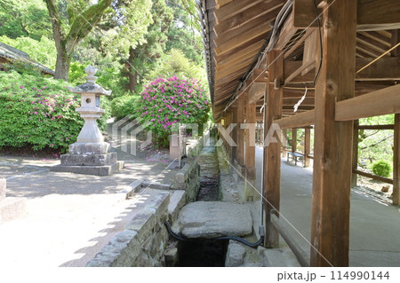 岡山市「吉備津神社」の社殿と回廊 岡山市「吉備津神社」の社殿と回廊 114990144