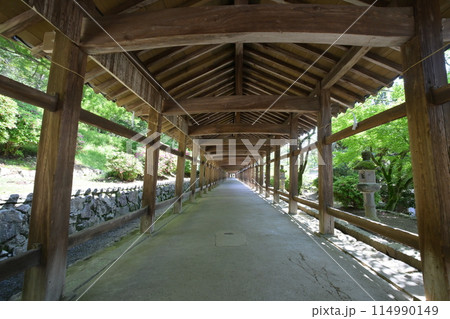 岡山市「吉備津神社」の社殿と回廊 岡山市「吉備津神社」の社殿と回廊 114990149