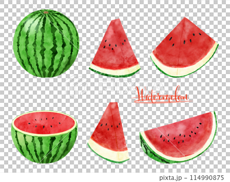 水彩繪製的西瓜插圖集 114990875