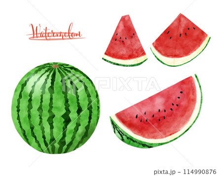 水彩で描いたスイカのイラストセット 114990876