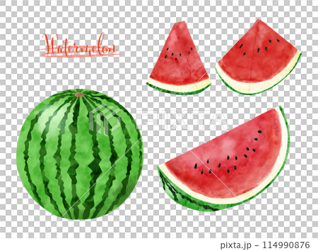 水彩で描いたスイカのイラストセット 114990876