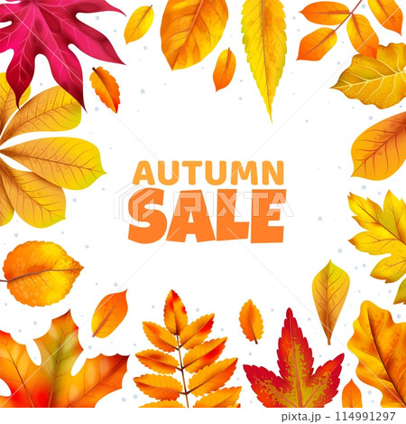 Autumn leaves frame. Realistic yellow orange and red chestnut, maple and oak foliage, autumn sale post or web banner with copy space for text. Botanical decor beautiful botany. Vector concept 114991297