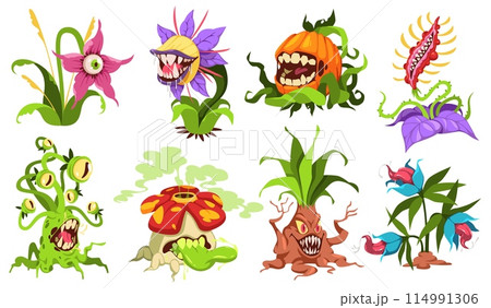 Cartoon monster plants. Carnivore fantastic flora with teeth, eyes, scary flowers, venomous predatory botanical characters, angry ugly creature cartoon flat isolated illustration tidy vector set Cartoon monster plants. Carnivore fantastic flora with teeth, eyes, scary flowers, venomous predatory botanical characters, angry ugly creature cartoon flat isolated illustration tidy vector set 114991306