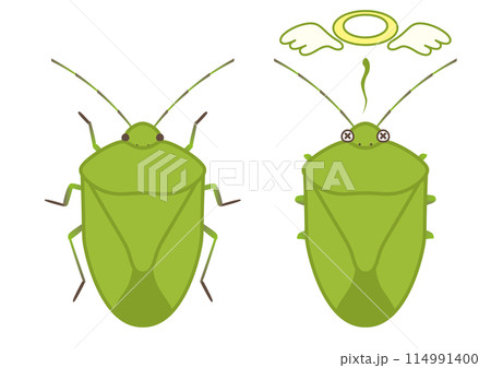 カメムシの生と死のベクターイラスト 114991400