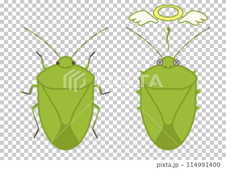Vector illustration of life and death of a stink bug 114991400