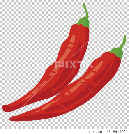 とうがらしのベクターイラスト 114991402