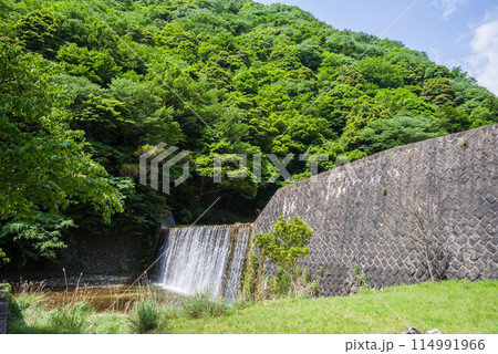 渓谷の砂防ダム【鈴鹿国定公園・宮妻峡】 渓谷の砂防ダム【鈴鹿国定公園・宮妻峡】 114991966