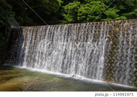 渓谷の砂防ダム【鈴鹿国定公園・宮妻峡】 114991975