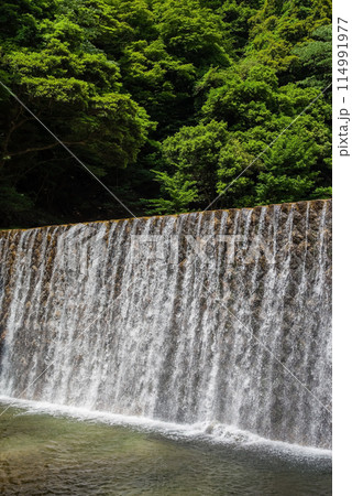 渓谷の砂防ダム【鈴鹿国定公園・宮妻峡】 114991977