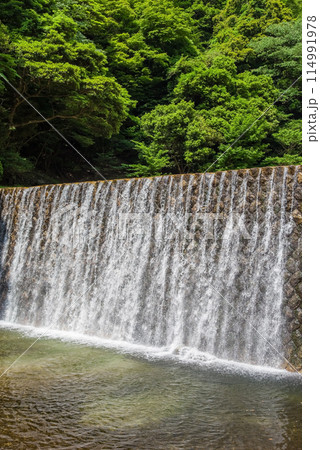 渓谷の砂防ダム【鈴鹿国定公園・宮妻峡】 114991978