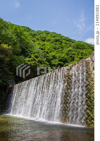 渓谷の砂防ダム【鈴鹿国定公園・宮妻峡】 114991981