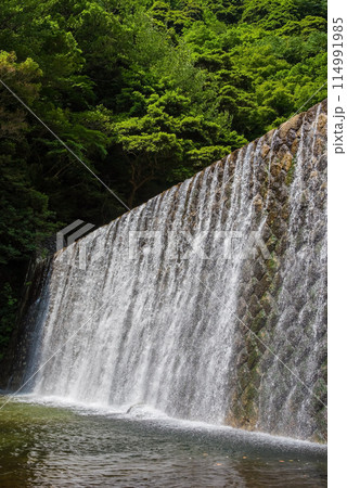 渓谷の砂防ダム【鈴鹿国定公園・宮妻峡】 114991985