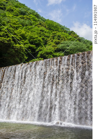 渓谷の砂防ダム【鈴鹿国定公園・宮妻峡】 渓谷の砂防ダム【鈴鹿国定公園・宮妻峡】 114991987