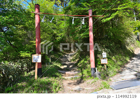 兵庫県六甲山神社 鳥居と境内 兵庫県六甲山神社 鳥居と境内 114992119