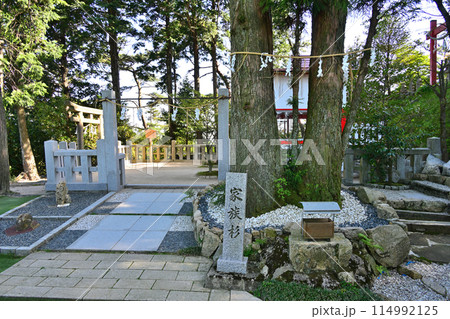 兵庫県六甲山神社 鳥居と境内 兵庫県六甲山神社 鳥居と境内 114992125