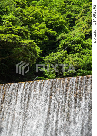 新緑と砂防ダム【鈴鹿国定公園・宮妻峡】 114992362