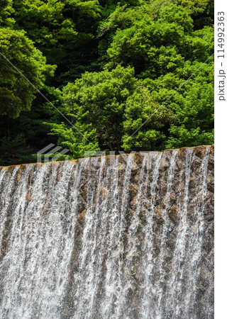 新緑と砂防ダム【鈴鹿国定公園・宮妻峡】 新緑と砂防ダム【鈴鹿国定公園・宮妻峡】 114992363