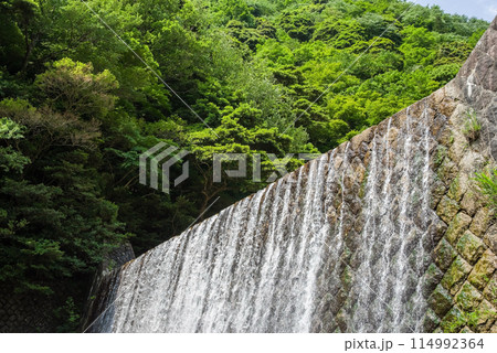 新緑と砂防ダム【鈴鹿国定公園・宮妻峡】 新緑と砂防ダム【鈴鹿国定公園・宮妻峡】 114992364